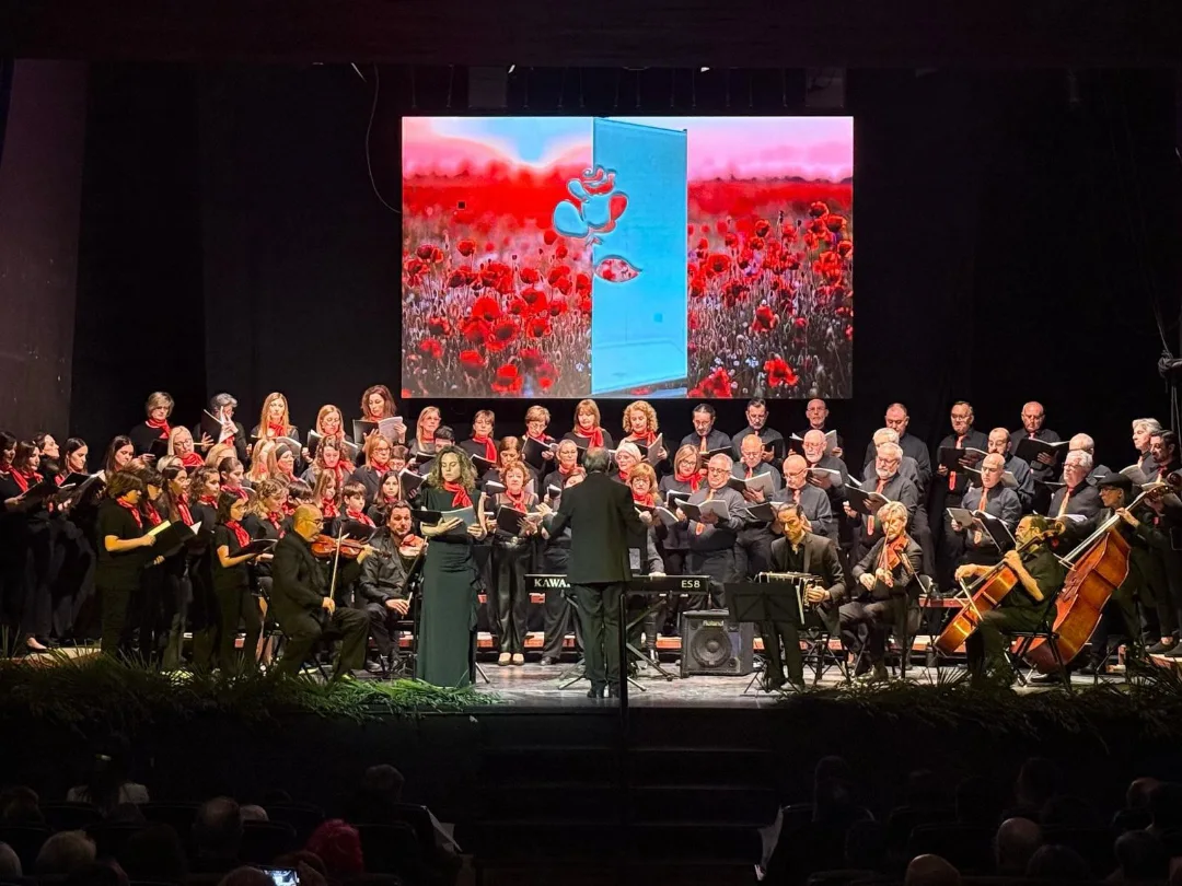 Cartell o activitat musical